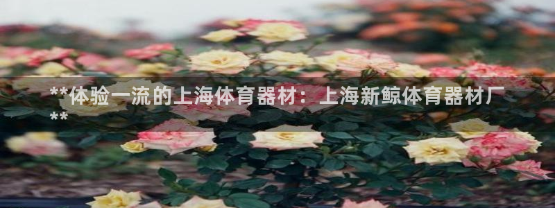 富联平台注册地址是哪里：**体验一流的上海体育器材：