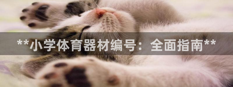 富联官方网站入口网址是多少：**小学体育器材编号：全