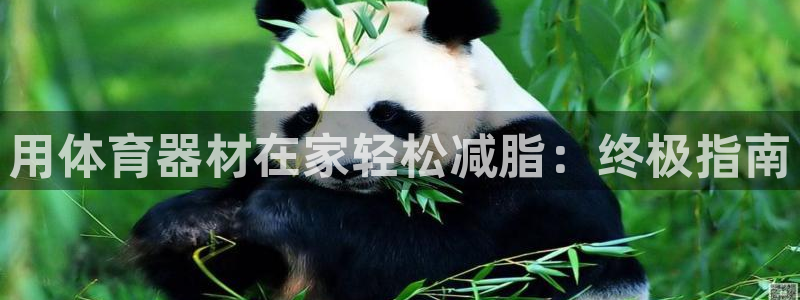富联平台先 37oo735：用体育器材在家轻松减脂：