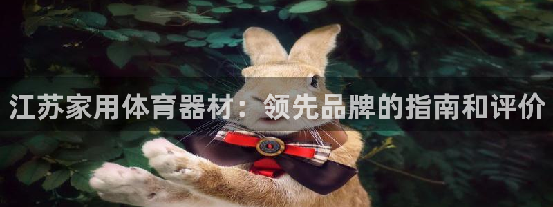 香港富联集团：江苏家用体育器材：领先品牌的指南和评价