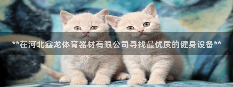 富联娱乐官方网站首页：**在河北鑫龙体育器材有限公司