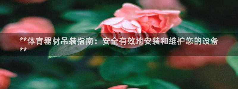 富联平台开户：**体育器材吊装指南：安全有效地安装和