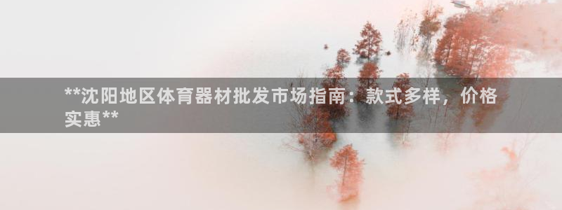 富联娱乐下载官网：**沈阳地区体育器材批发市场指南：