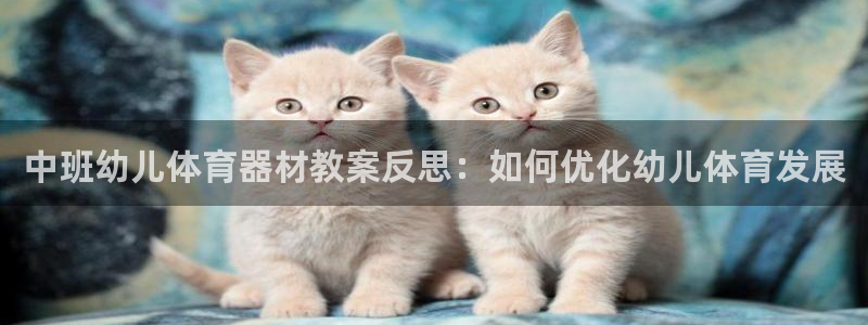 富联官网注册流程图片：中班幼儿体育器材教案反思：如何
