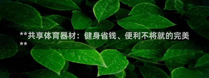 富联娱乐叩 411O31 富联：**共享体育器材：健
