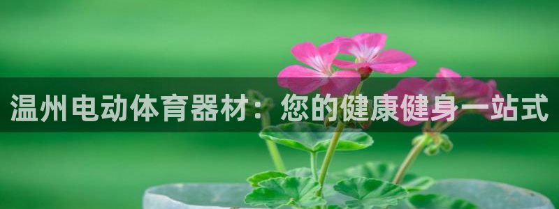 富联平台半7O777：温州电动体育器材：您的健康健身一站式