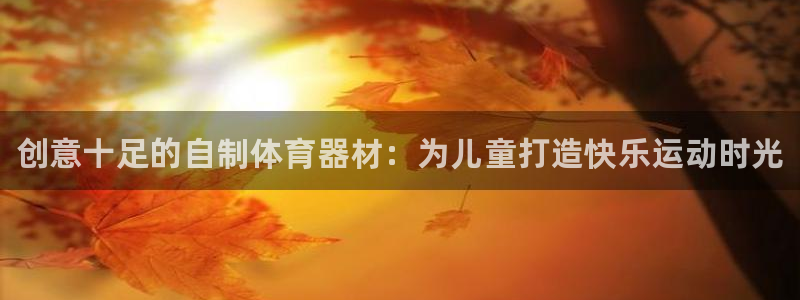 富联股份股价：创意十足的自制体育器材：为儿童打造快乐