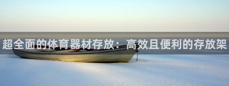 富联平台安装流程：超全面的体育器材存放：高效且便利的存放架