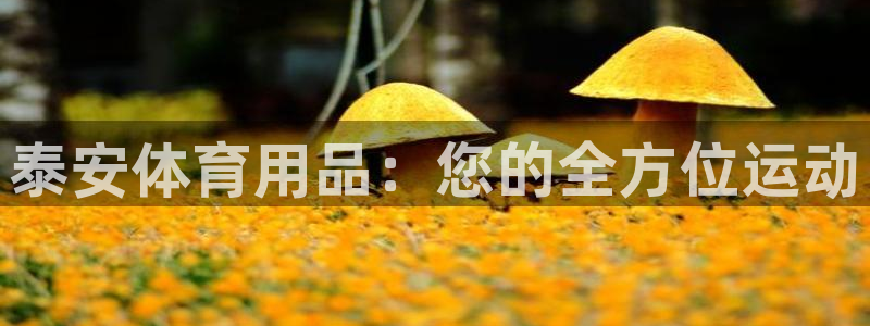 富联平台登录网址查询