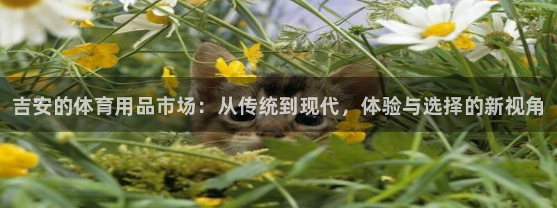 富联娱乐木 411O31 娱乐