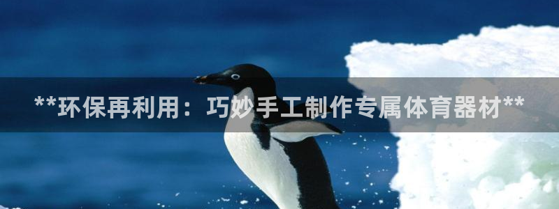 富联平台搜索 585.34I 平台：**环保再利用：巧妙手工