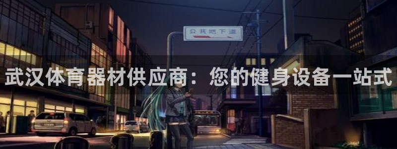 富联官方网站下载app：武汉体育器材供应商：您的健身设备一站
