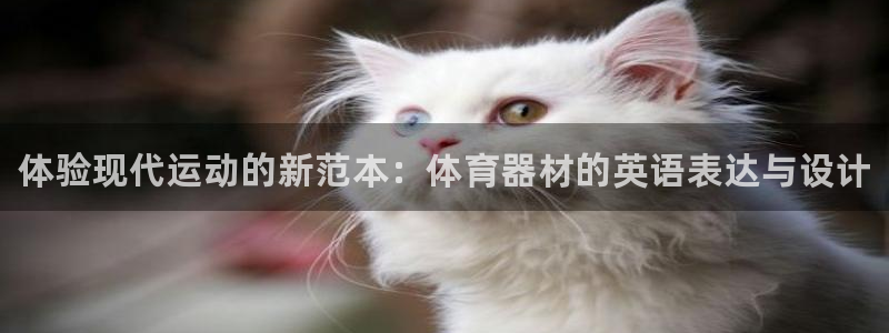 富联平台上级下级是什么：体验现代运动的新范本：体育器