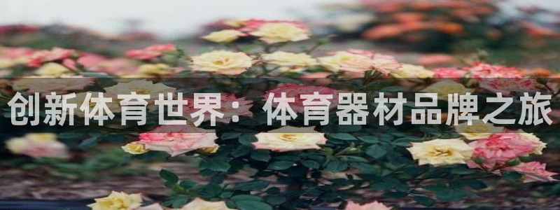 富联娱乐玩法机制介绍