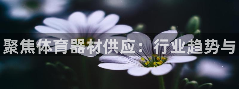 富联娱乐客户端app下载服务器异常怎么办：聚焦体育器