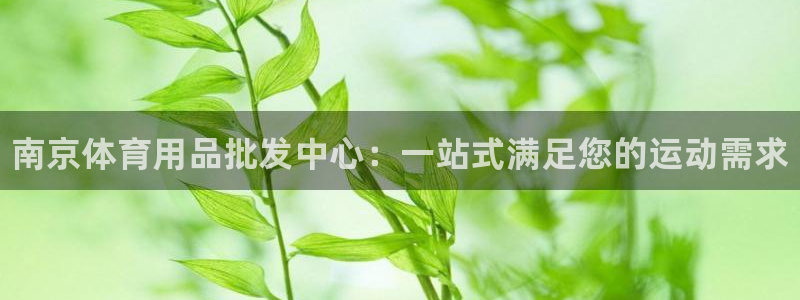 富联娱乐平台能挣到钱吗：南京体育用品批发中心：一站式满足您的