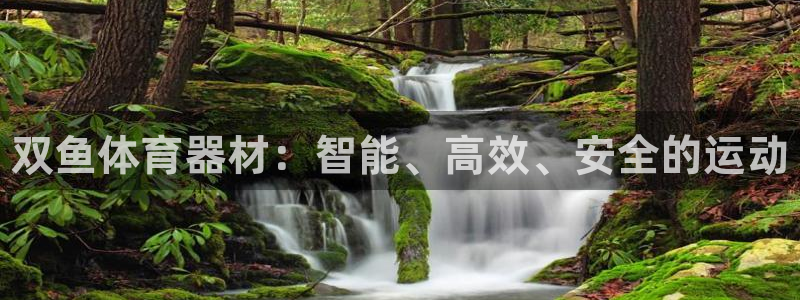 富联平台李 411O31 富联：双鱼体育器材：智能、高效、安