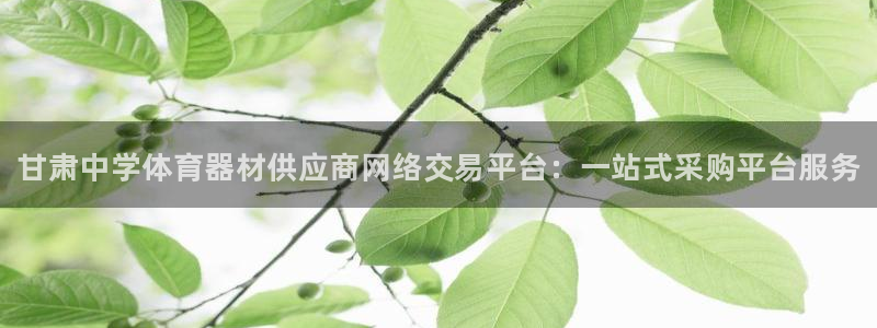 富联智能科技学院：甘肃中学体育器材供应商网络交易平台：一站式