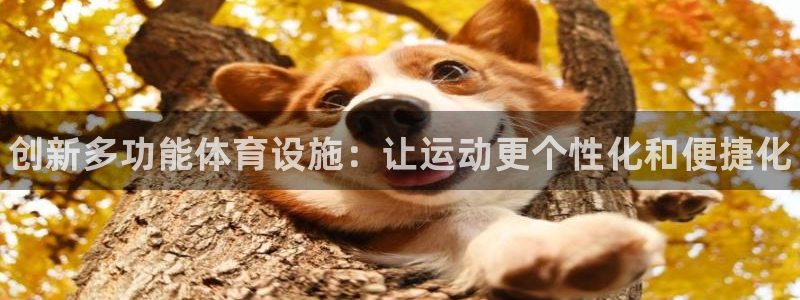 富联娱乐律7O777：创新多功能体育设施：让运动更个性化和便