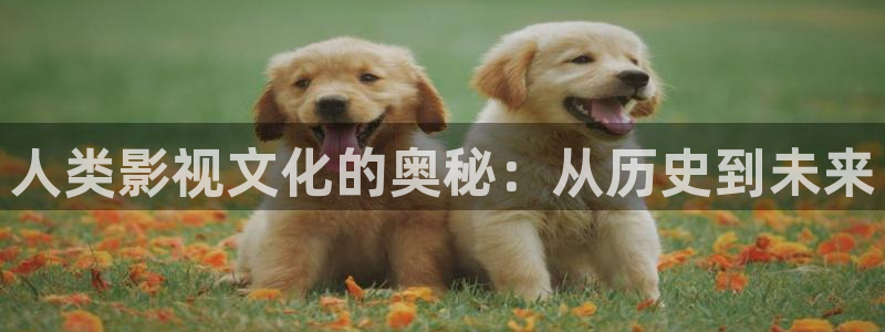 猎狼人电影