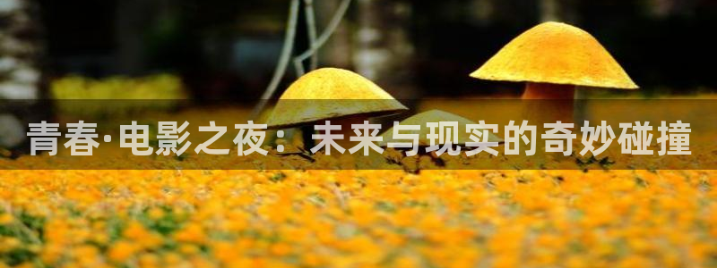 狼人天堂影院
