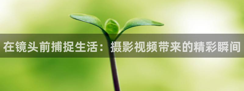 狼人av在线播放