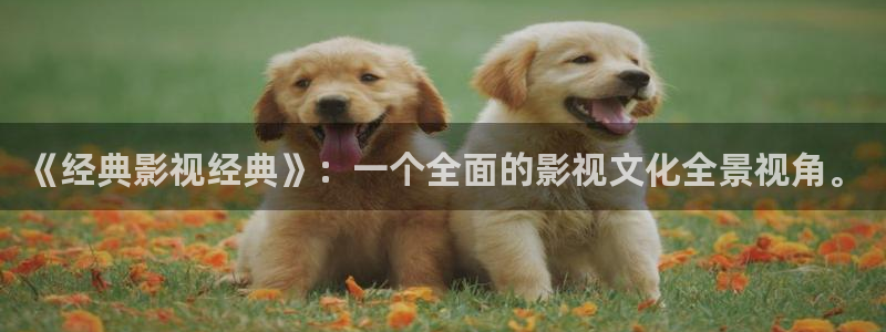 狼人影院中国华人