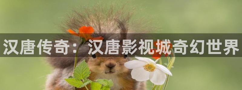狼人之夜电影完整版