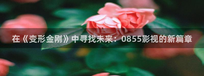 狼人影视在线观看